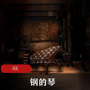中国电影《钢的琴》超清珍藏版推荐