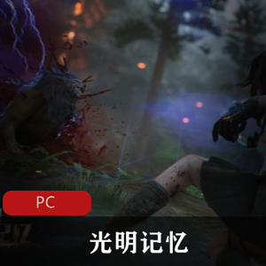 射击游戏《光明记忆》全DLC中文版推荐