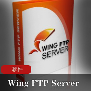 跨平台FTP服务器端《Wing FTP Server》多语言破解特别版推荐